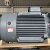 Động cơ điện 3 pha 37kw  